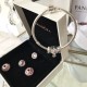 Pandora Bangle Set Sterling Silver 20082784