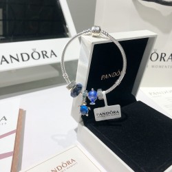 Pandora Bangle Sterling Silver 20082701