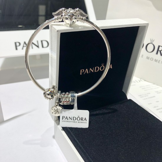 Pandora Bangle Sterling Silver 20082702