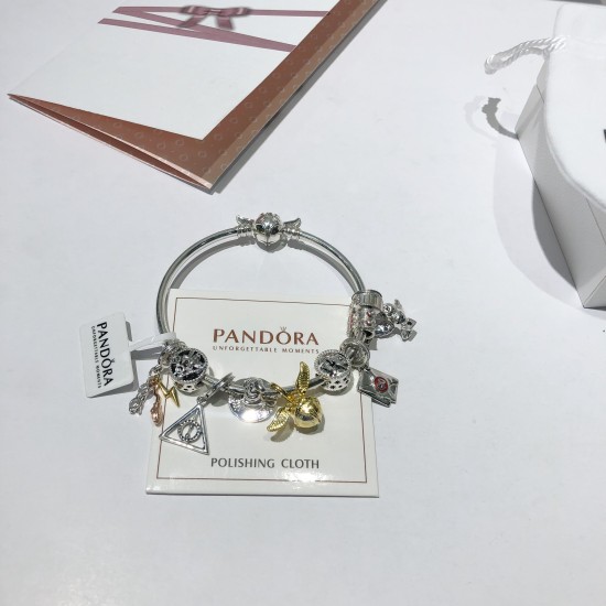 Pandora Bangle Sterling Silver 20082703