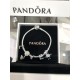 Pandora Bangle Sterling Silver 20082712