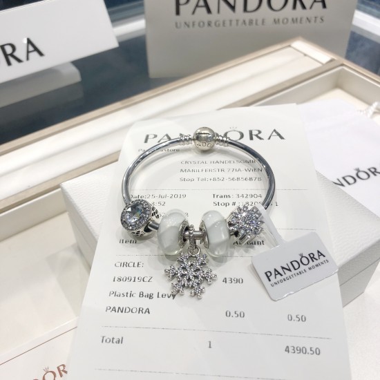 Pandora Bangle Sterling Silver 20082716