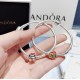 Pandora Silver Pig Bangle Sterling Silver 20082776