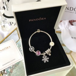 Pandora Bangle Set Sterling Silver 20082782