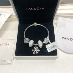 Pandora Bangle Sterling Silver 20082716