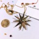 Swarovski Lucky Goddess Star Necklace 5461784