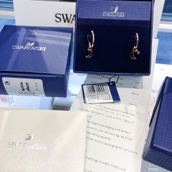 Swarovski Symbolic Earrings 5440458