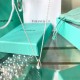 Tiffany Elsa Peretti Teardrop Pendant Sterling Silver