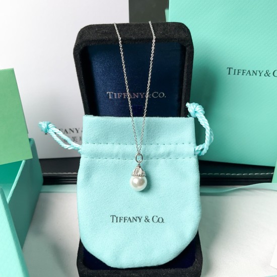 Tiffany & Co.Wichte Silver Necklace For W Jewelry